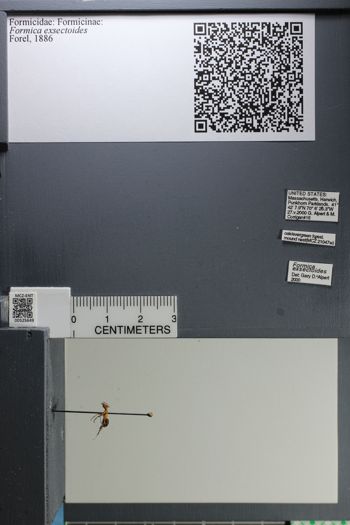 Media type: image;   Entomology 525649